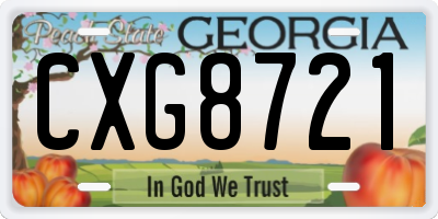 GA license plate CXG8721