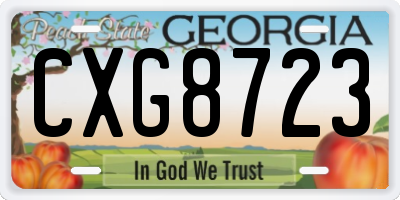 GA license plate CXG8723