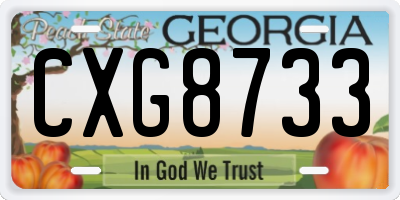 GA license plate CXG8733