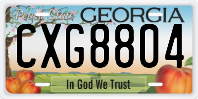 GA license plate CXG8804