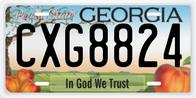 GA license plate CXG8824