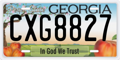 GA license plate CXG8827