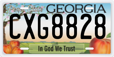 GA license plate CXG8828