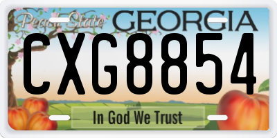GA license plate CXG8854