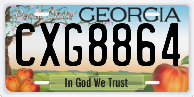 GA license plate CXG8864