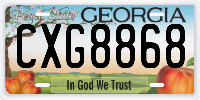 GA license plate CXG8868