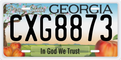 GA license plate CXG8873