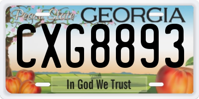 GA license plate CXG8893