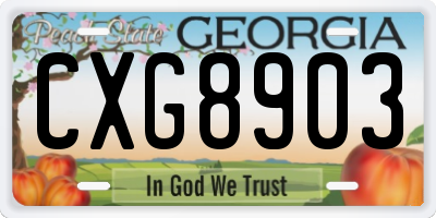 GA license plate CXG8903