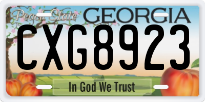 GA license plate CXG8923