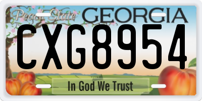 GA license plate CXG8954