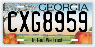 GA license plate CXG8959