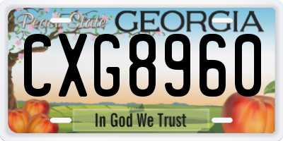 GA license plate CXG8960