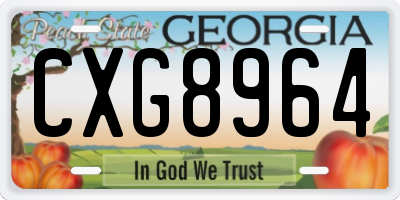 GA license plate CXG8964