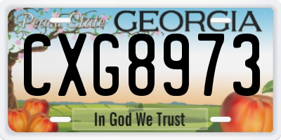 GA license plate CXG8973