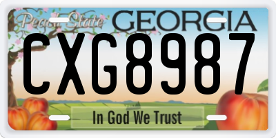 GA license plate CXG8987