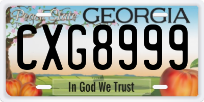 GA license plate CXG8999