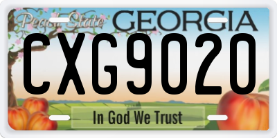GA license plate CXG9020