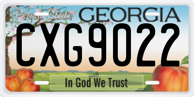 GA license plate CXG9022