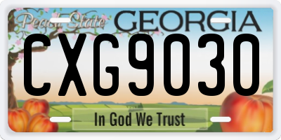 GA license plate CXG9030