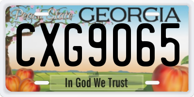 GA license plate CXG9065