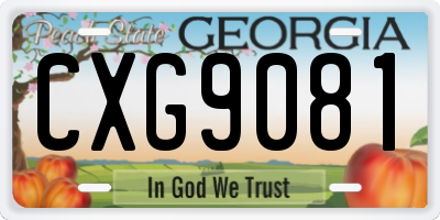 GA license plate CXG9081