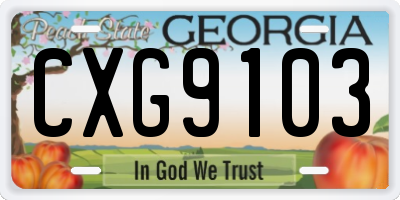 GA license plate CXG9103