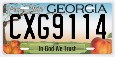 GA license plate CXG9114