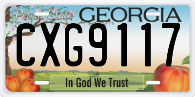 GA license plate CXG9117