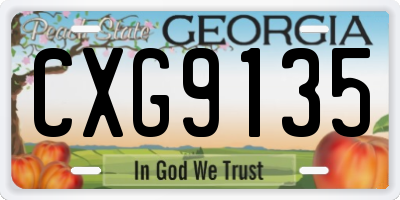 GA license plate CXG9135