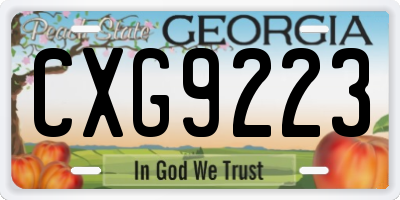 GA license plate CXG9223