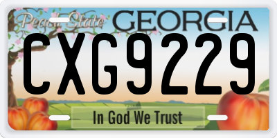 GA license plate CXG9229