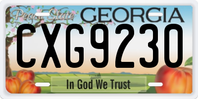 GA license plate CXG9230