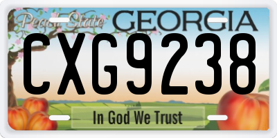 GA license plate CXG9238