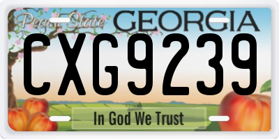 GA license plate CXG9239