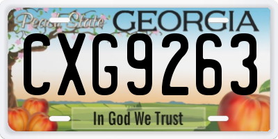 GA license plate CXG9263