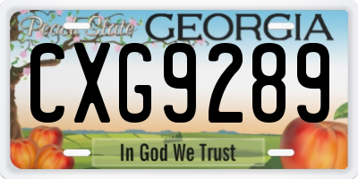 GA license plate CXG9289