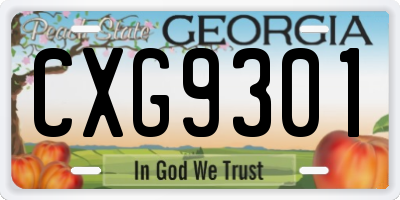 GA license plate CXG9301
