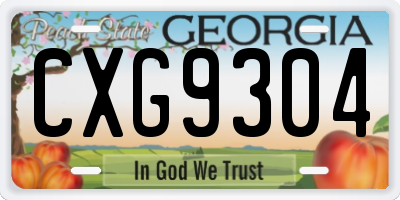 GA license plate CXG9304