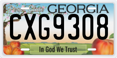 GA license plate CXG9308