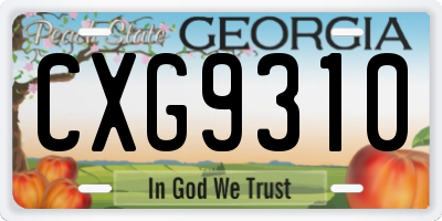 GA license plate CXG9310