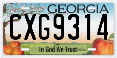 GA license plate CXG9314