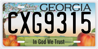 GA license plate CXG9315