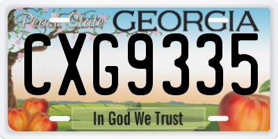 GA license plate CXG9335