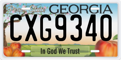 GA license plate CXG9340