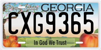 GA license plate CXG9365