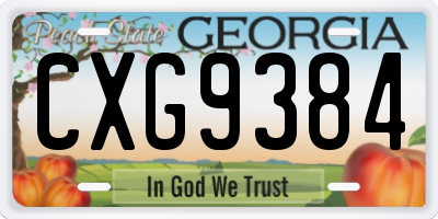 GA license plate CXG9384