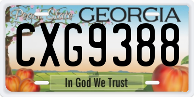 GA license plate CXG9388