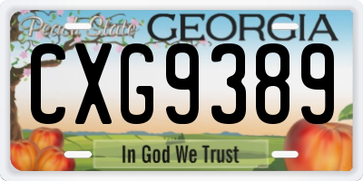 GA license plate CXG9389