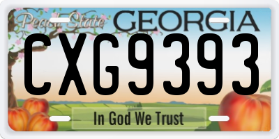 GA license plate CXG9393